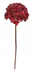 Konstväxt hortensia mörkröd Speedtsberg