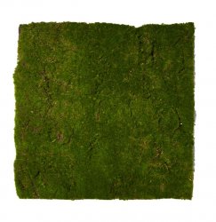 Konstgjord grön mossa 50x50 cm Speedtsberg