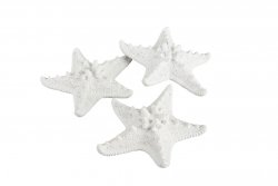 konstgjord sjöstjärna i vit poly