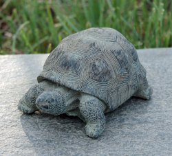 sköldpadda grönpatinerad betong trädgårdsdekoration