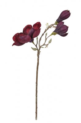 Magnoliakvist bordeaux vinröd 60 cm konstväxt