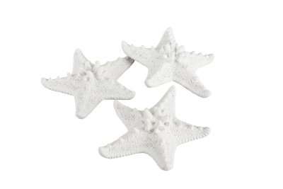 konstgjord sjöstjärna i vit poly